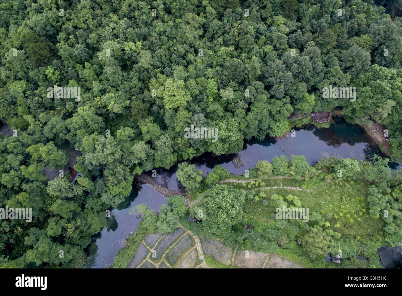 Guiyang. 25. Juni 2016. Eine Luftaufnahme, aufgenommen am 25. Juni 2016 zeigt Ahahu national Wetland Park in Guiyang, Hauptstadt der Südwesten Chinas Provinz Guizhou. Der Wald Abdeckungsgrad von Guiyang hatte fünfundvierzig Prozent im Jahr 2015 erreicht. Die 2016 Eco Forum Global in Guiyang am 8. Juli dieses Jahres startet. © Ou Dongqu/Xinhua/Alamy Live-Nachrichten Stockfoto