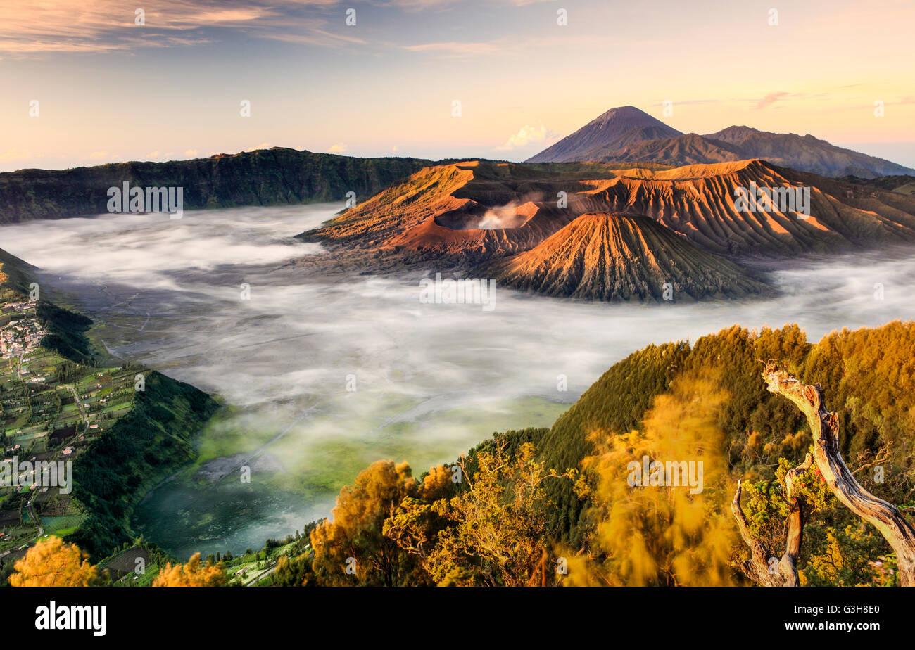 Die Ansicht des Mount Bromo aus Penanjakan Sicht, Mount Bromo Nationalpark, Ost-Java, Indonesien. Stockfoto