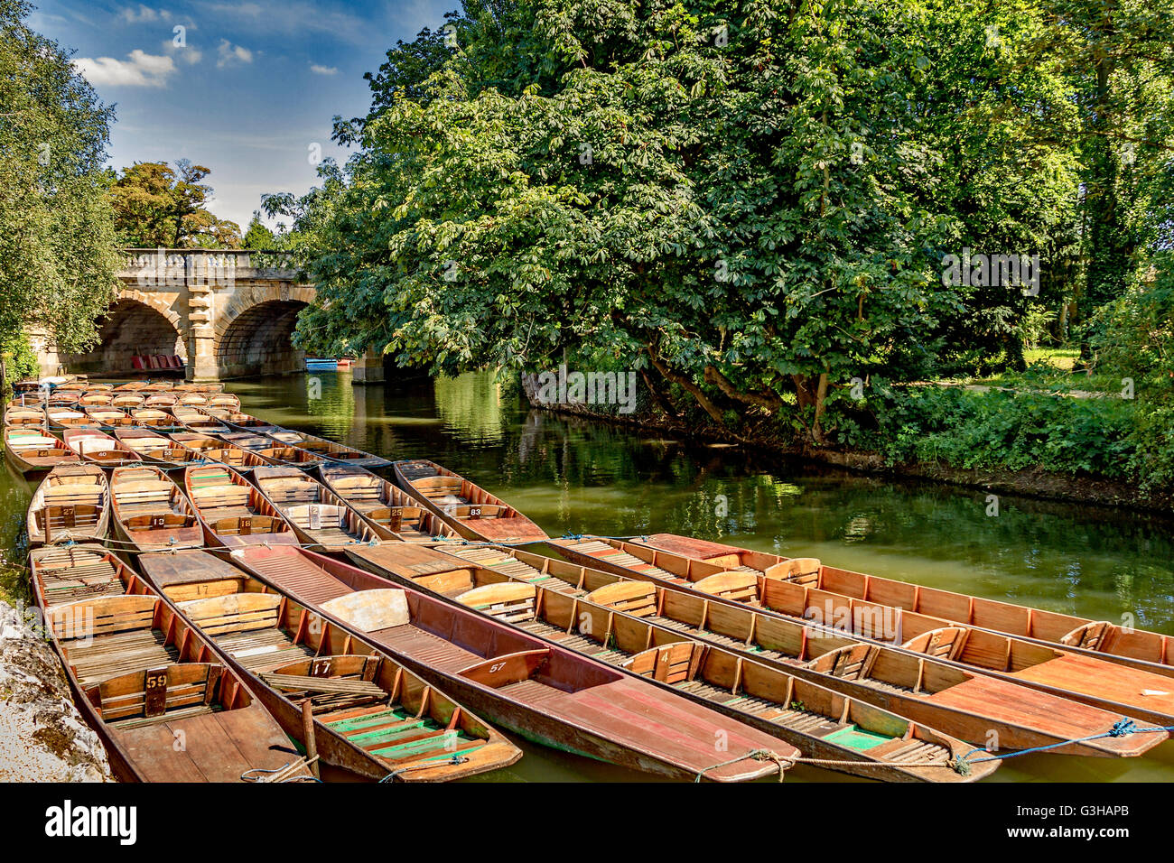 Stocherkähne an Magdalen Bridge Oxford UK Stockfoto