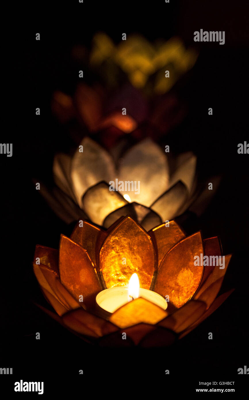 Brennende Blume Teelichter im Dunkeln Stockfoto