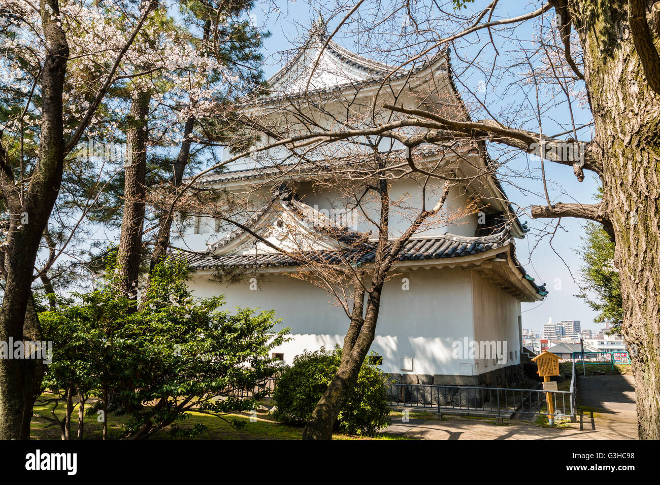 North West Tower, Inui, auch als Kiyosu Revolver bekannt, eine 3-stufige yagura Burg von Nagoya in Japan durch Kirschblüten im Frühling gesehen. Stockfoto