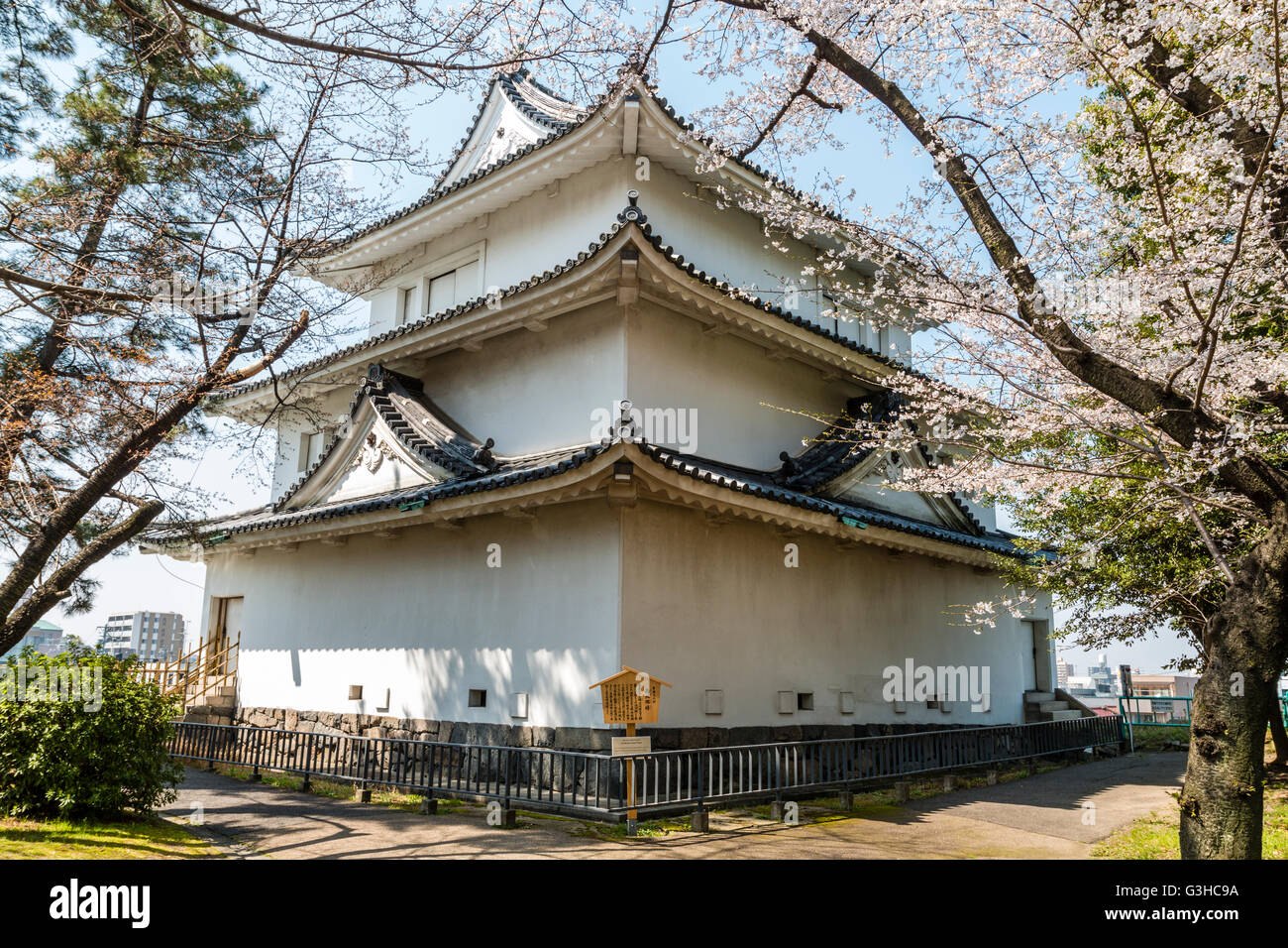 North West Tower, Inui, auch als Kiyosu Revolver bekannt, eine 3-stufige yagura Burg von Nagoya in Japan durch Kirschblüten im Frühling gesehen. Stockfoto
