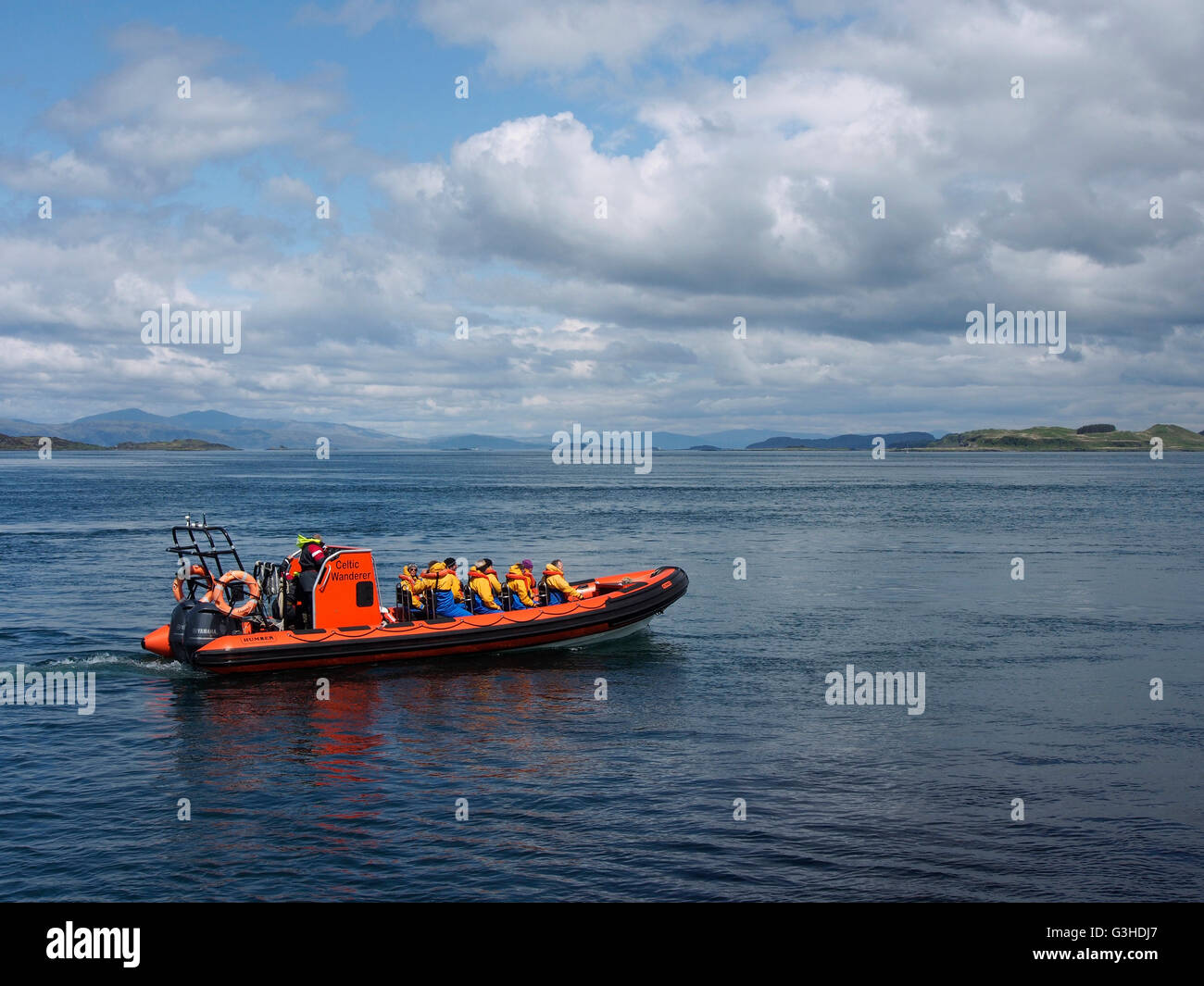 Seafari RIB darin, uns auf Scarba Stockfoto