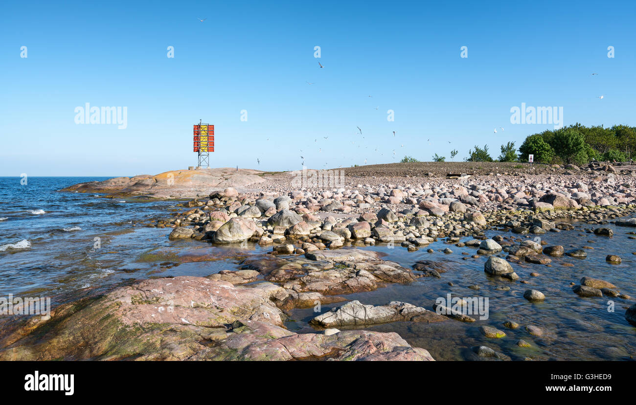 Möwen und Seeschwalben auf Koirasaari Insel, Helsinki, Finnland, Europa, EU Stockfoto