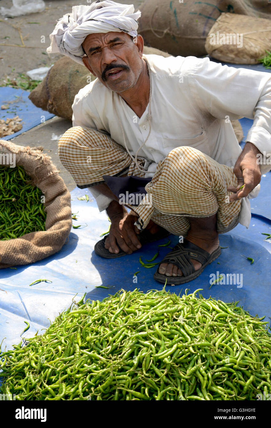 Green Chili Verkäufer bei lokaler Gemüsemarkt in Indien Stockfoto