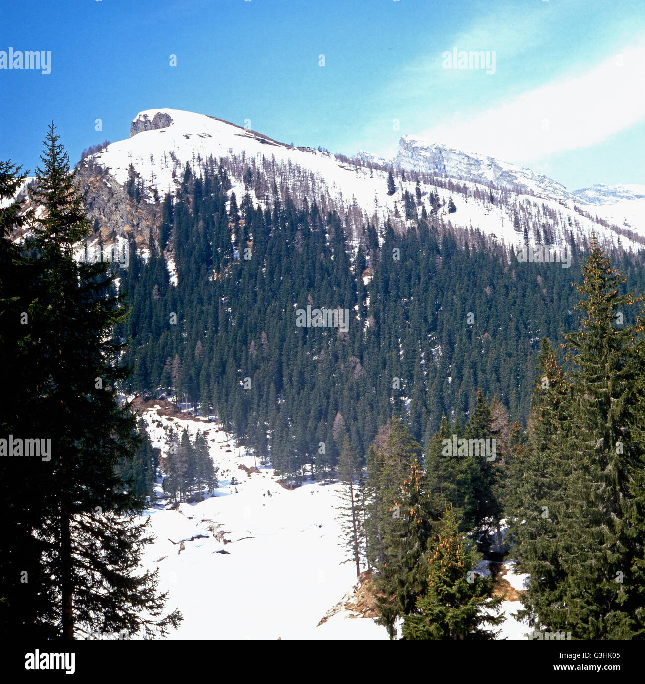 St. Bernhard, 1980er Jahre Schweiz. St. Bernhard in der Schweiz der 1980er Jahre. Stockfoto