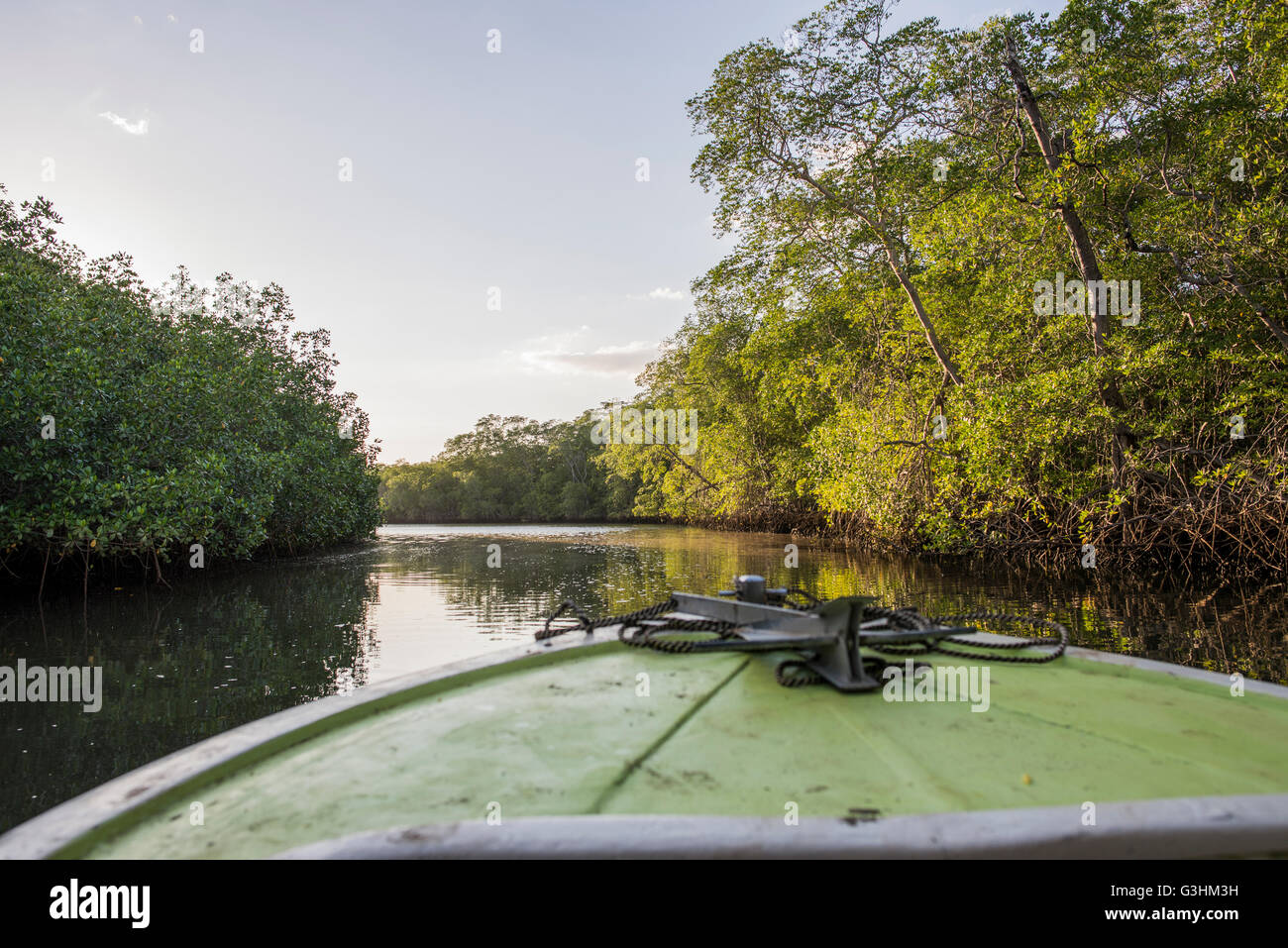 Mündung Ausflug-, Tamarindo, Guanacaste, Costa Rica Stockfoto