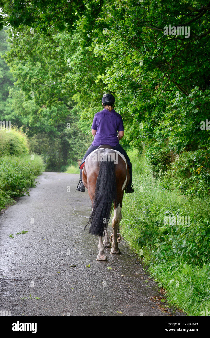 Reiter auf einem Feldweg an einem regnerischen Sommertag. Stockfoto