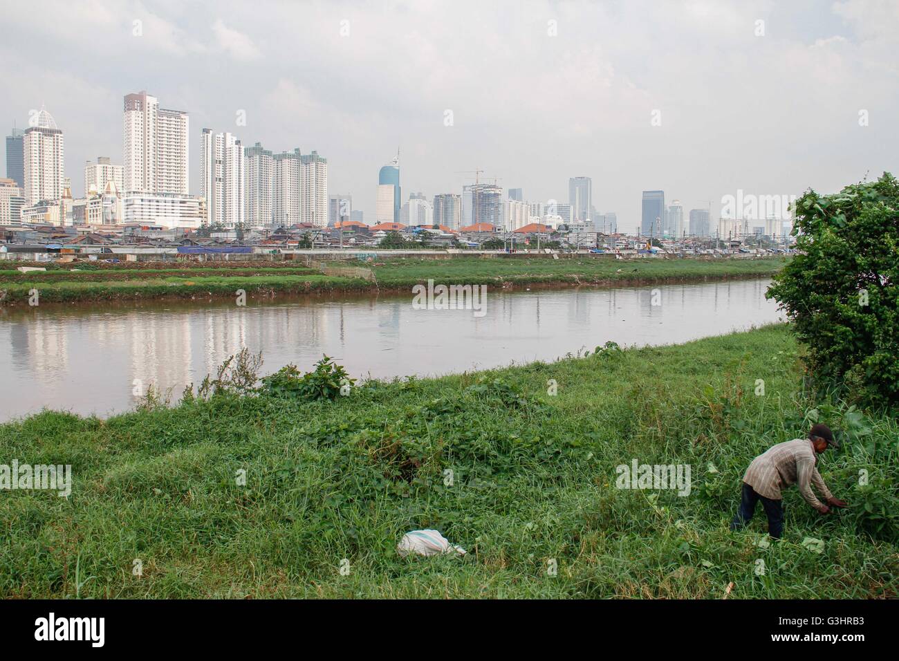 Jakarta, Indonesien. 18. April 2016. Ein Mann übernimmt den Rasen wie Hochhäuser auf dem Hintergrund gesehen werden. © Garry Andrew Lotulung/Pacific Press/Alamy Live-Nachrichten Stockfoto