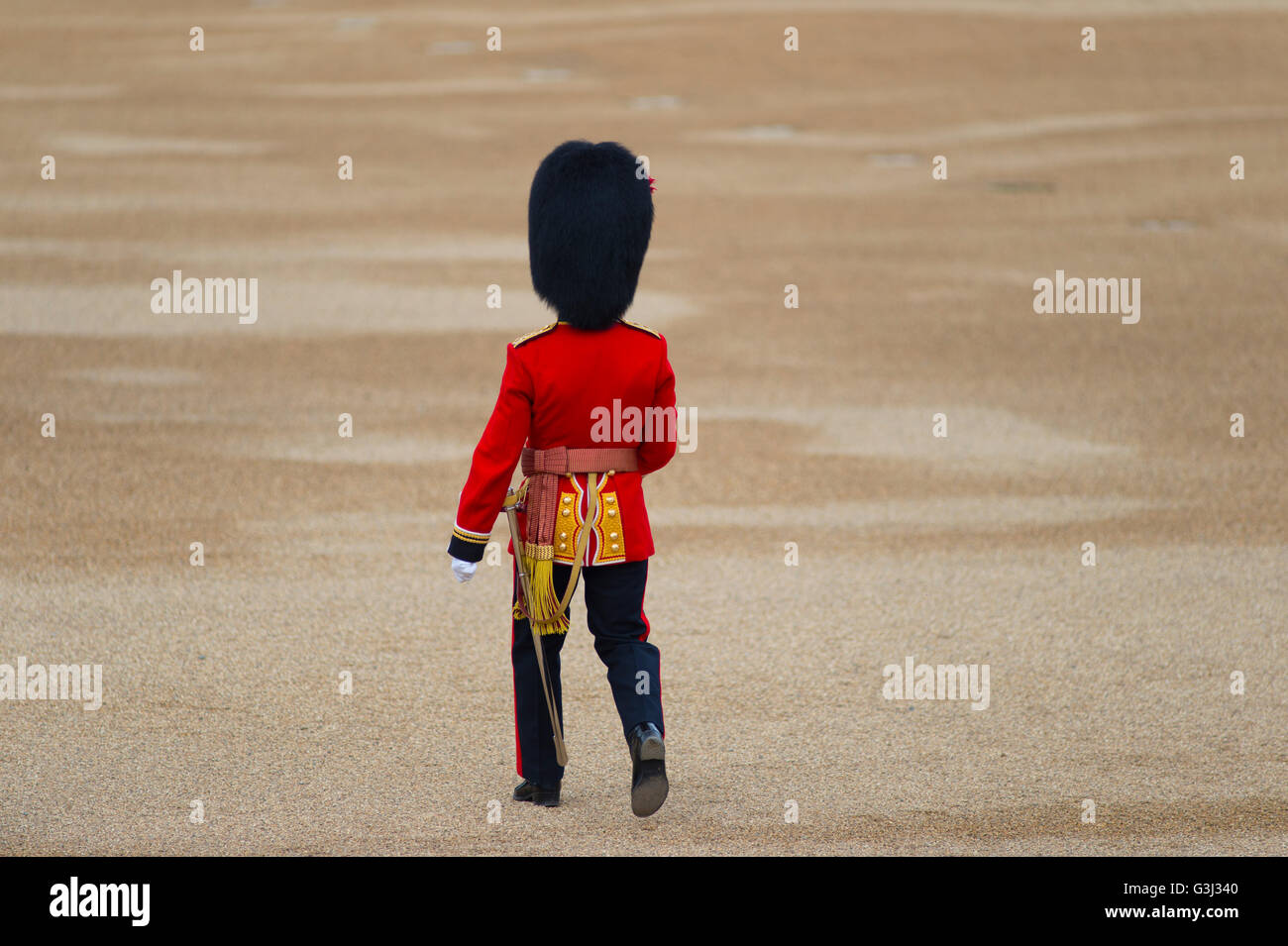 Horse Guards Parade, London, UK. 11. Juni 2016. 90. Geburtstag-Parade der HM Königin Elizabeth II. Stockfoto