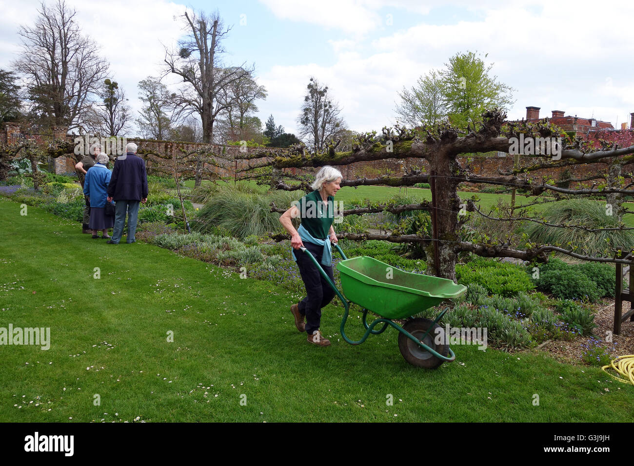 Hinton Ampner Garten Gärten Hampshire Uk Stockfoto