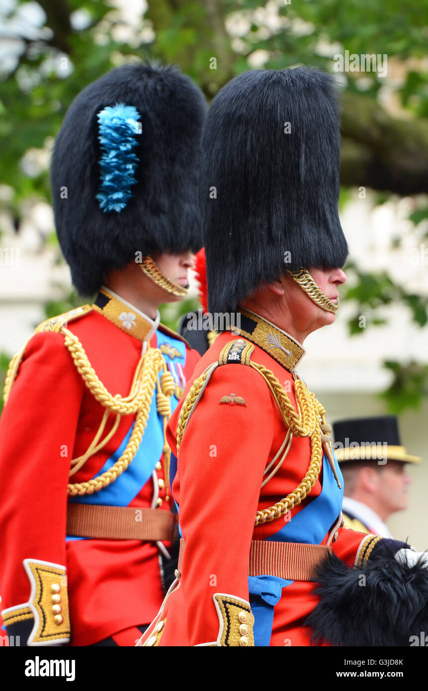 Die Farbe 2016 sah die Farbe Nr. 7 Unternehmen Coldstream Guards trabten, mit der königlichen Familie und militärischen Bands in der Mall London Stockfoto