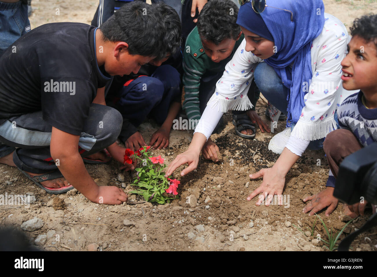 Gaza, Gaza. 24. März 2016. Palästinensische Kinder werden Pflanzen von Rosen und Blumen während einer Kundgebung fordern, ihre Häuser zu rekonstruieren, die 2014 im zweiten Weltkrieg in Schadschaija Nachbarschaft zerstört wurden. © Mohammed Al Hajjar/RoverImages/Pazifik Presse/Alamy Live-Nachrichten Stockfoto