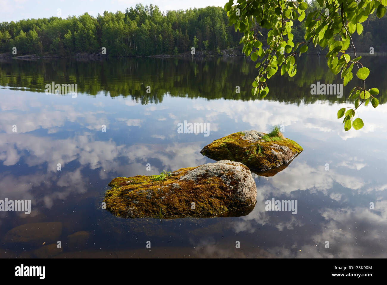 Steinen in ruhigem Wasser Stockfoto
