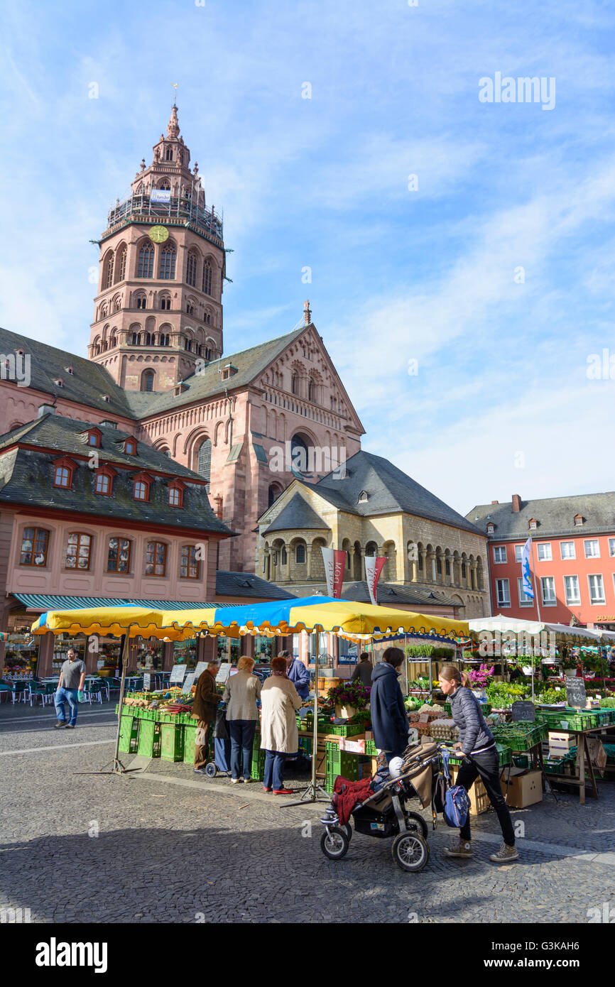 St.-Martins Dom und Wochenmarkt, Deutschland, Rheinland-Pfalz, Rheinland-Pfalz, Mainz Stockfoto