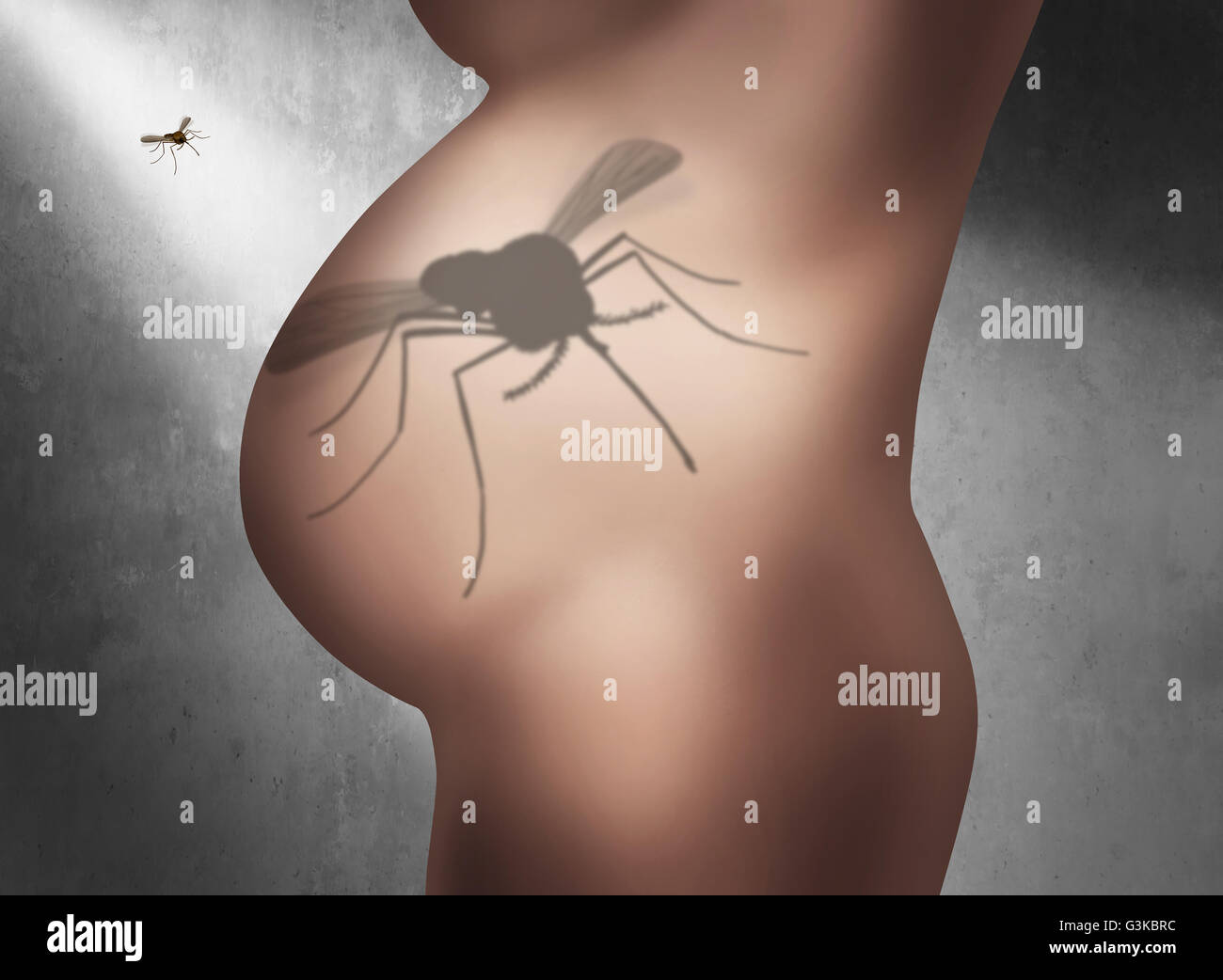 Zika Schwangerschaft Angst medizinisches Konzept und Virus-Gefahr-Konzept als einer infektiösen Mücke wirft einen Schatten des Insekts auf dem schwangeren Bauch Bauch der Frau Opfer Verbreitung von Krankheiten in einer 3D Darstellung Stil. Stockfoto