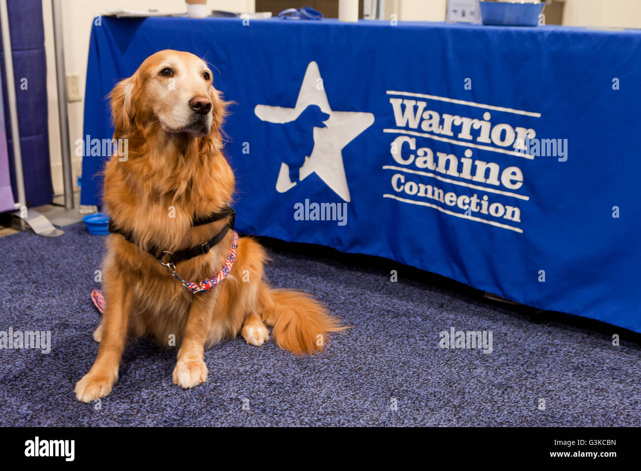 Krieger Canine Verbindung stand auf einem militärischen Expo - USA Stockfoto