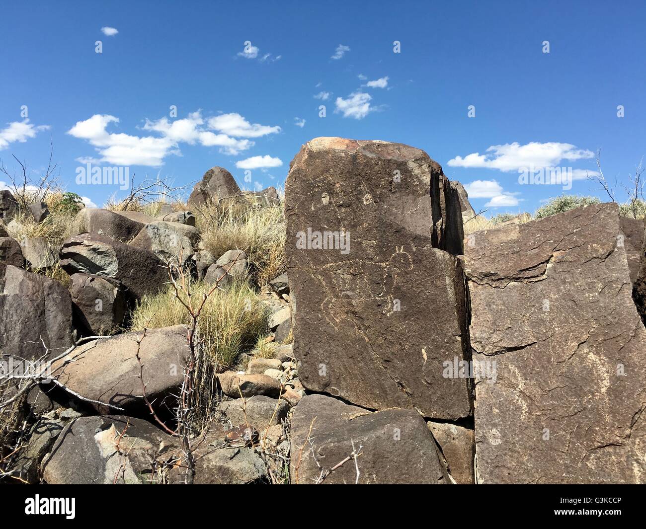 Native Americans (Jornada Mogollon Personen) geschnitzt Petroglyphen auf den Felsen an drei Flüssen Petroglyph Standort in der Nähe von Tularosa, New-Mexico Stockfoto