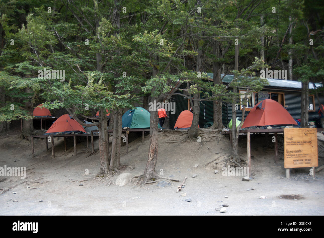 Zelte eingerichtet auf Plattformen im chilenischen Camp auf der Basis der Türme wandern, Patagonien, Chile. Stockfoto