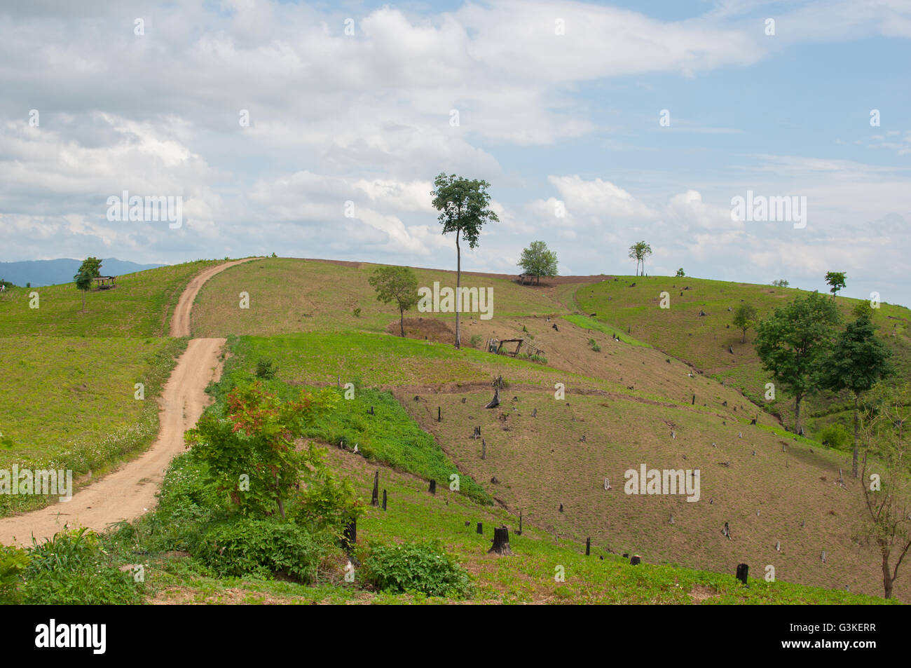 Schöne Aussicht auf die Landschaft im ländlichen Raum Stockfoto