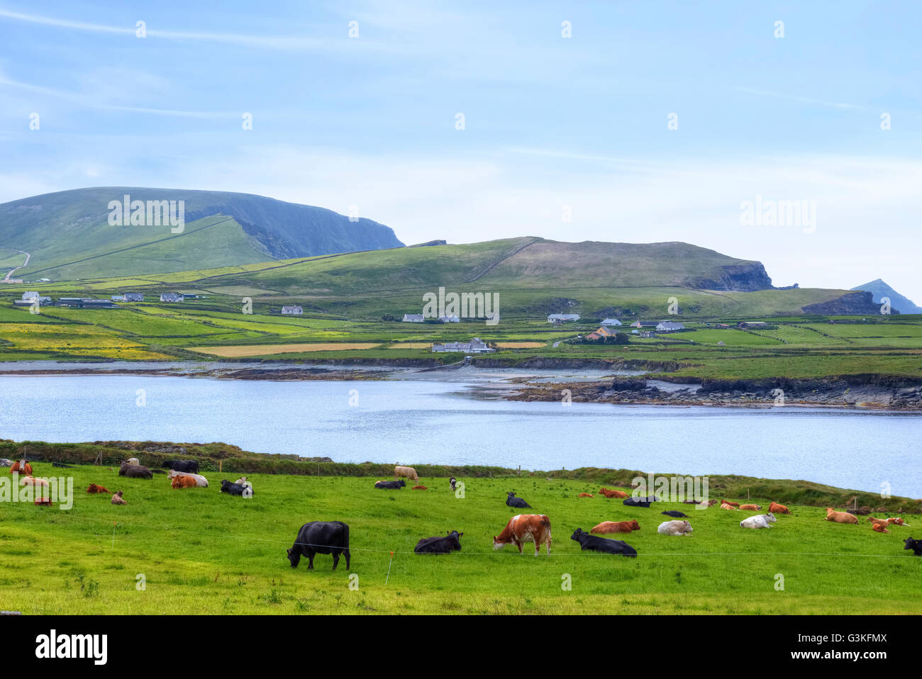 Valentia Island, Iveragh-Halbinsel, Skellig Ring, Kerry, Irland, Europa Stockfoto