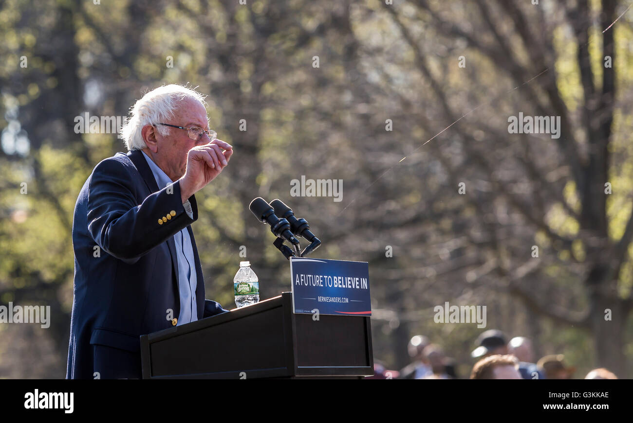 Brooklyn, USA. 17. April 2016. Ein Vogel kam zum ersten Mal von Sander Podium und nun scheinbar, eine Spinne. Mehr als 28.000 Menschen überflutet Brooklyner Prospect Park für Präsidentenanwärter Bernie Sanders. Die Kampagne fordert er seine größte Rallye noch. Gästen zählten die Indie-Band Grizzly Bear, Danny Devito, Justin Long und Rep Tulsi Gabbard, D-Hawaii und Brooklyn Stadtrat Jumaane Williams, ein Occupy Wall Street-Aktivist, der die Menge mit einem "mic Check" revved © Michael Nigro/Pacific Press/Alamy Live News Stockfoto