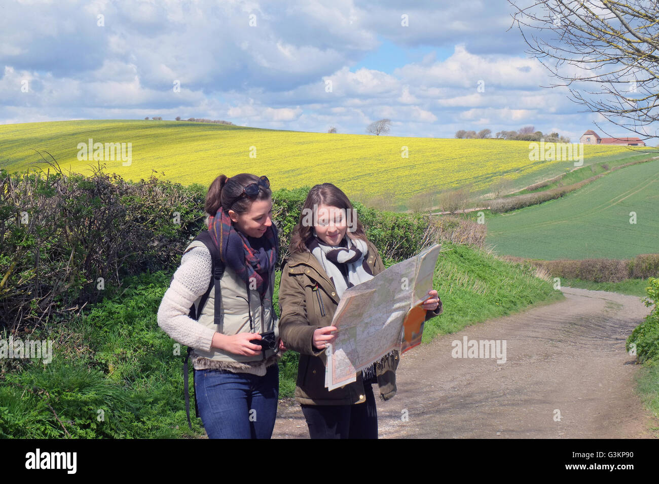 Zwei junge Frauen stehen auf Landstraße, Blick auf Karte Stockfoto