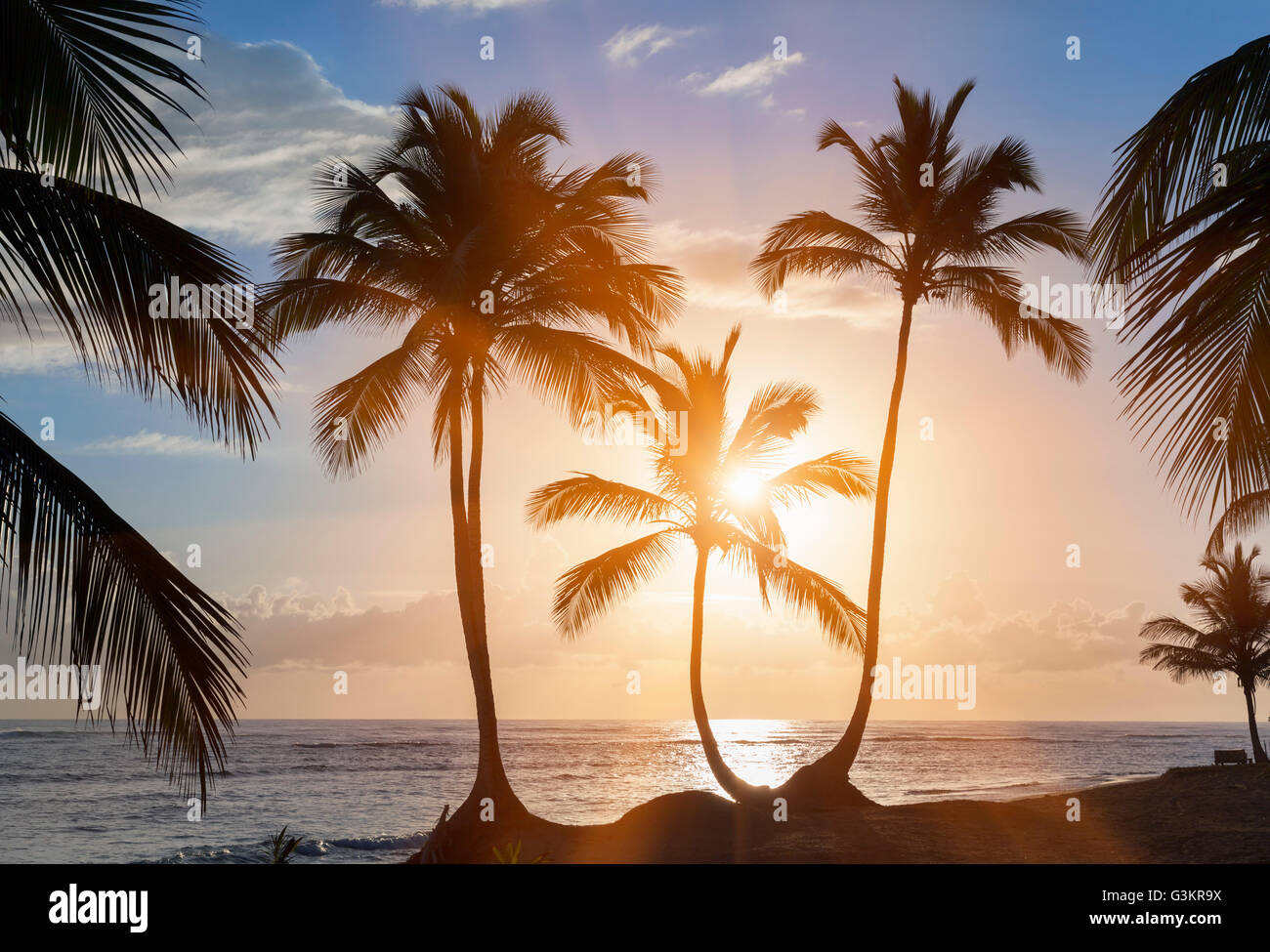 Silhouette Palmen bei Sonnenuntergang am Strand, Dominikanische Republik, Karibik Stockfoto