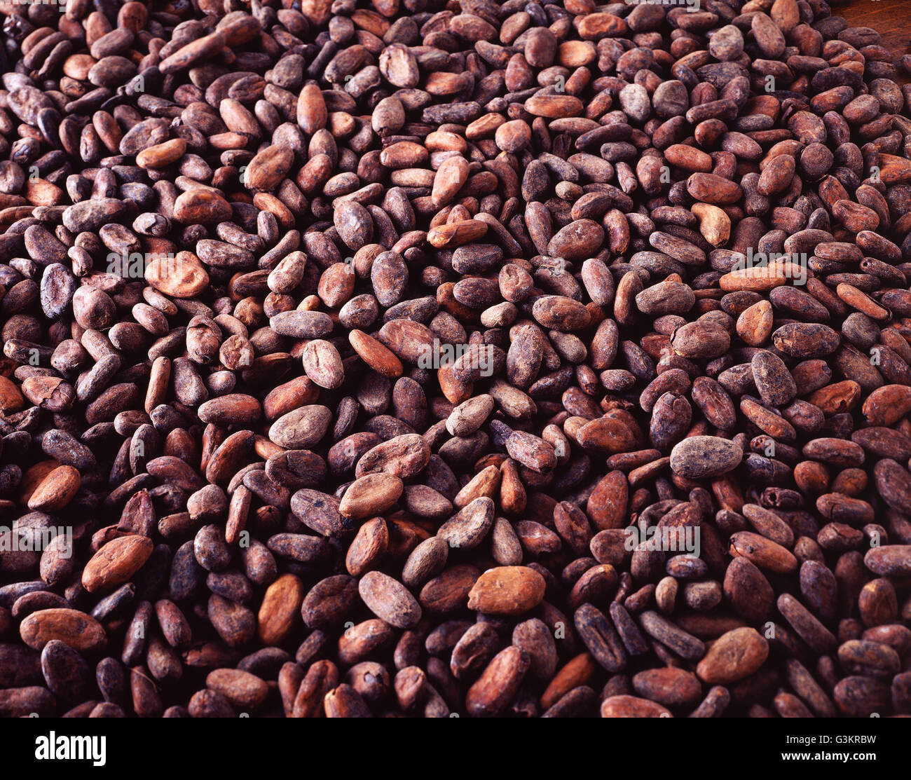 Draufsicht auf rohe Kakaobohnen, Schokolade Zutat Stockfoto