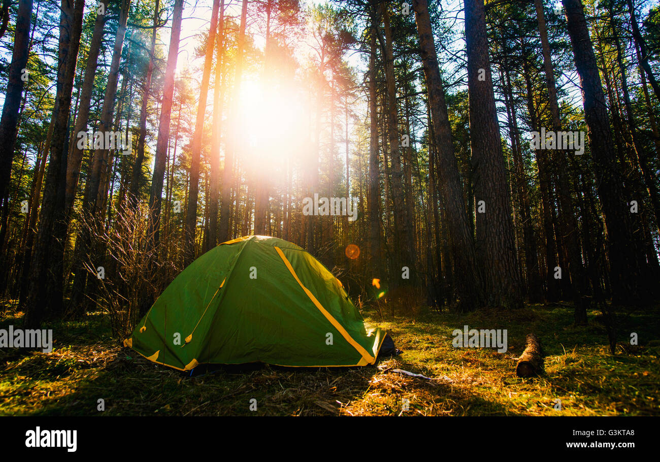 Zelt aufgeschlagen im Wald Stockfoto