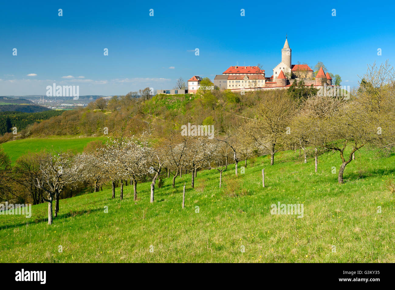 Blühende Obstbäume unter Leuchtenburg Burg, Frühling, hinter Jena, Kahla, Thüringen, Deutschland Stockfoto