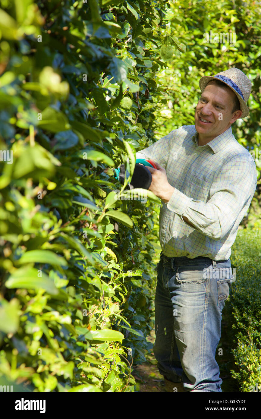Elektrischer trimmer Fotos und Bildmaterial in hoher Auflösung Alamy