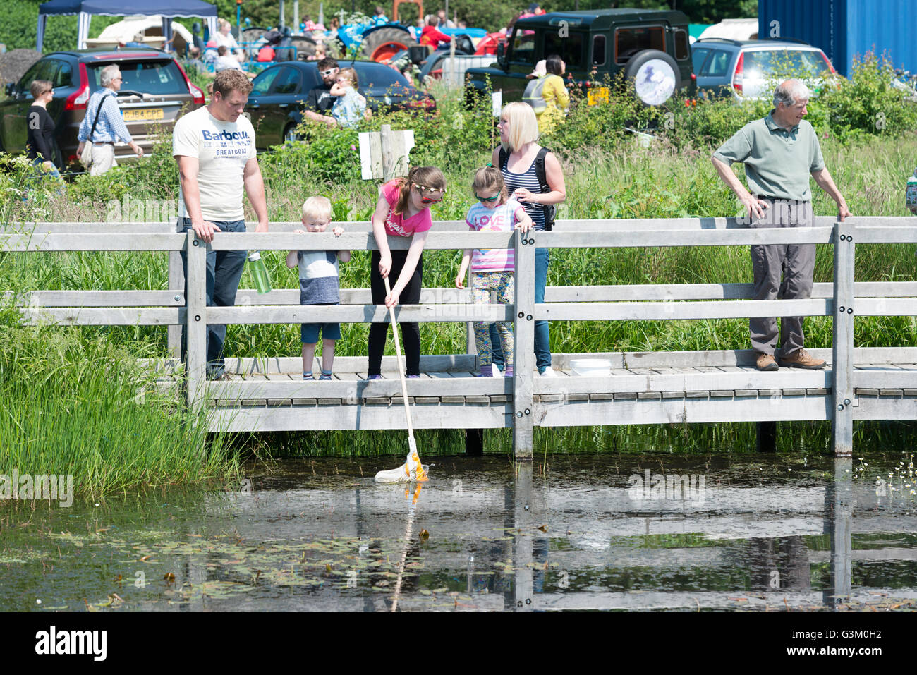 Teichtauchen uk Fotos und Bildmaterial in hoher Auflösung Alamy