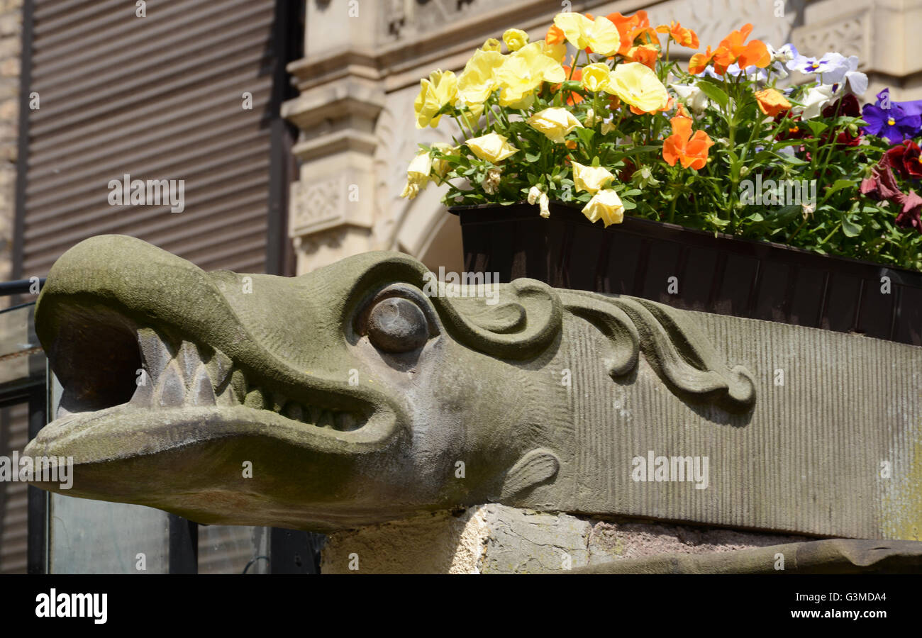 Wasserspeier von Haus Hansestadt Danzig Polen Stockfoto