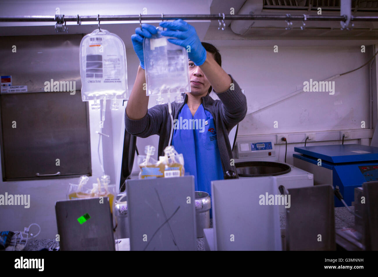 (160614)--BUENOS AIRES, 14. Juni 2016 (Xinhua)--Bild, aufgenommen am 10. Juni 2016 zeigt einen Techniker in einem Labor bereitet eine Tasche, Plasma und Thrombozyten durch Zentrifugierung im Labor der Stiftung "Hemocentro" (Blood Center) Buenos Aires in Buenos Aires, der Hauptstadt von Argentinien zu trennen. Der Weltblutspendetag wird jährlich am 14. Juni gefeiert. Im Jahr 2016 ist das Thema der Kampagne "Blut verbindet uns alle", der World Health Organisation (WHO) hat auch den Slogan "Leben Anteil geben Blut" um die Sensibilisierung für die Bedeutung von Systemen der freiwilligen Spende als ein w Stockfoto