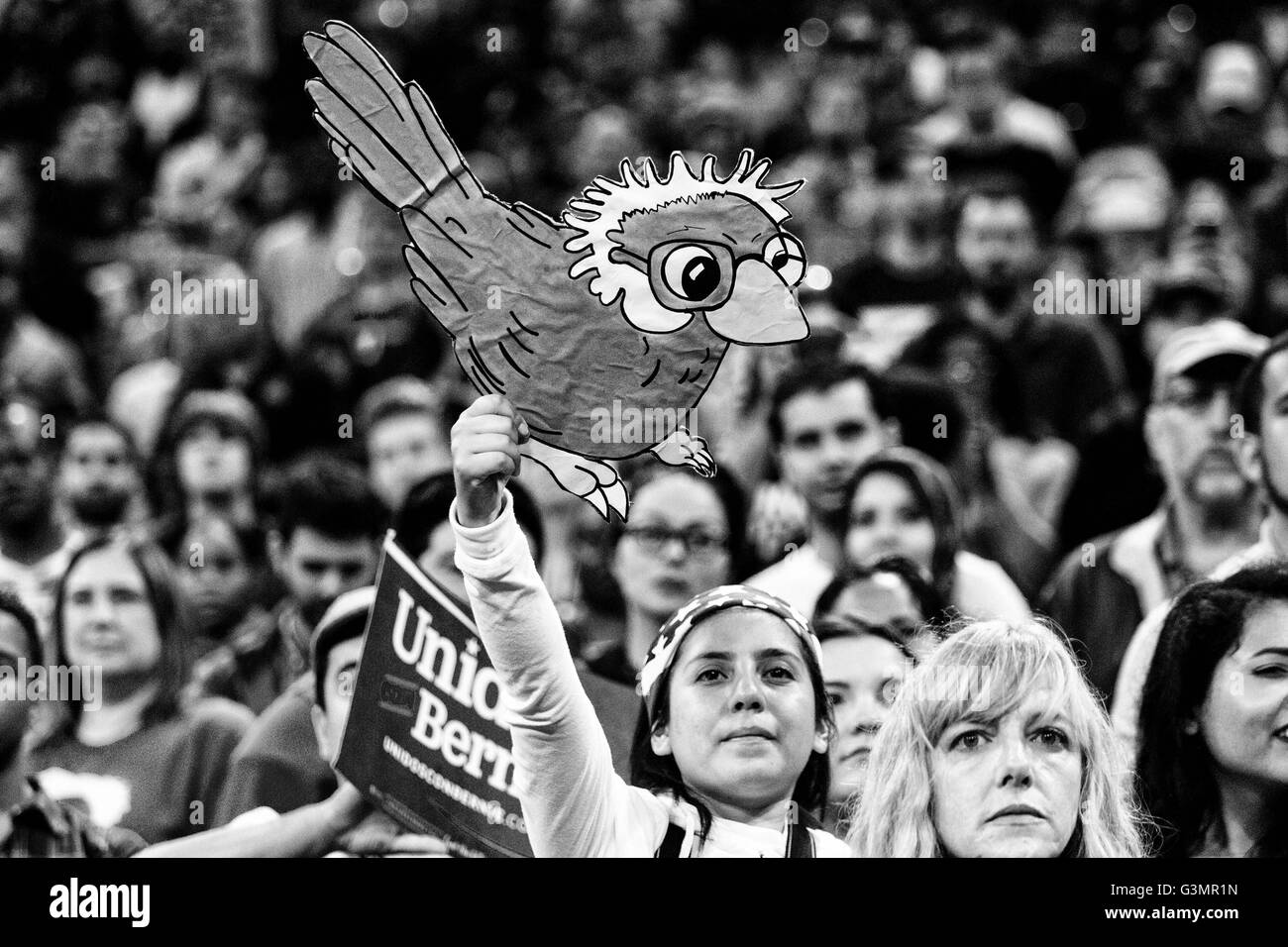 Carson, Kalifornien, USA. 17. Mai 2016. Die Legende von BIRDIE SANDERS entstand, als ein kleiner Vogel auf BERNIE SANDERS Podium bei einer Kundgebung in Portland, Oregon landete. 17. Mai 2016. Carson, Kalifornien © Gabriel Romero/ZUMA Draht/Alamy Live-Nachrichten Stockfoto