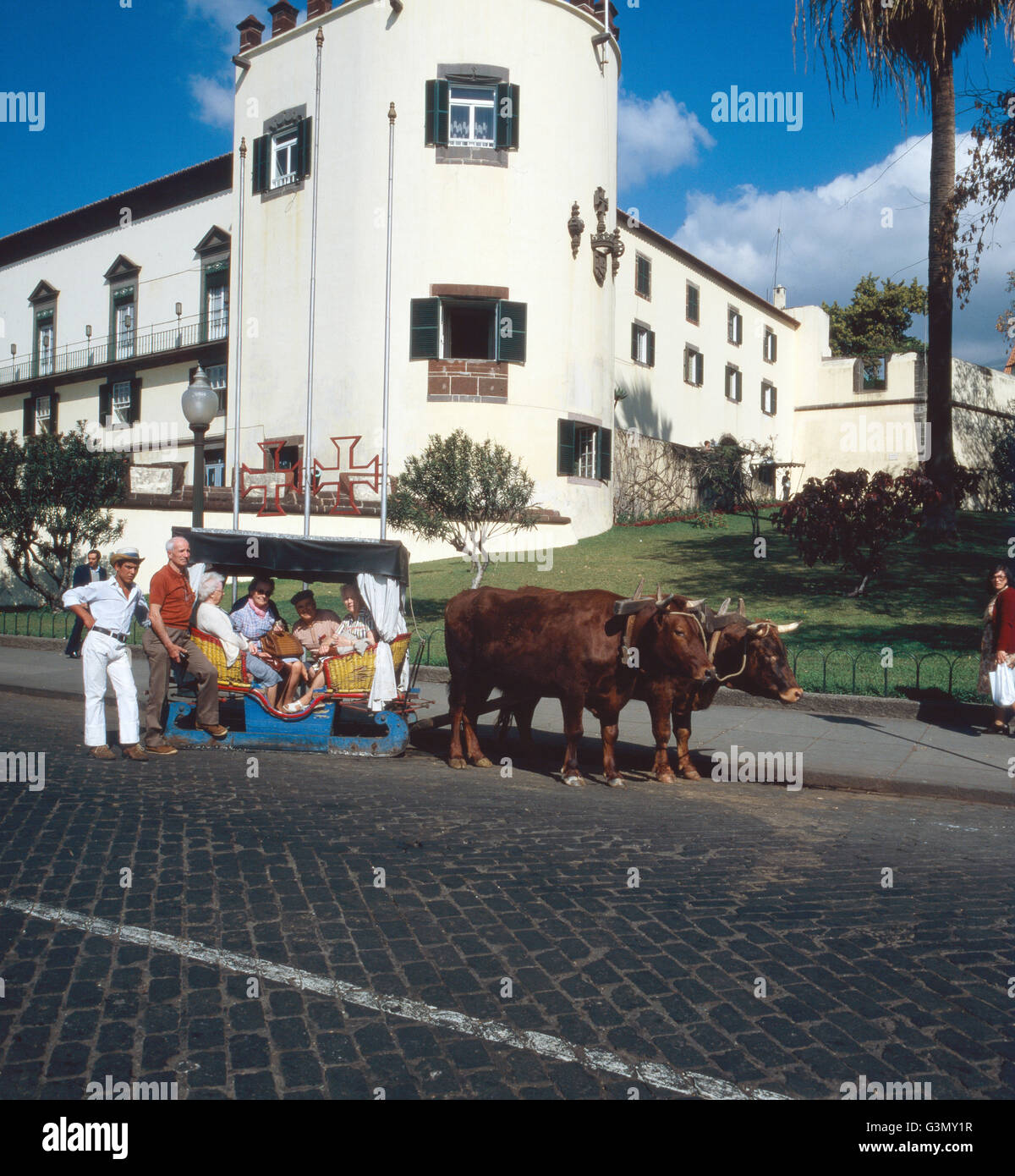 Eine Fahrt Mit Dem Traditionellen Ochsenschlitten Durch Funchal, Madeira, Portugal 1980. Ein Radteams mit den traditionellen Ochsen gezogen Schlitten durch die Stadt Funchal, Madeira, Portugal 1980. Stockfoto