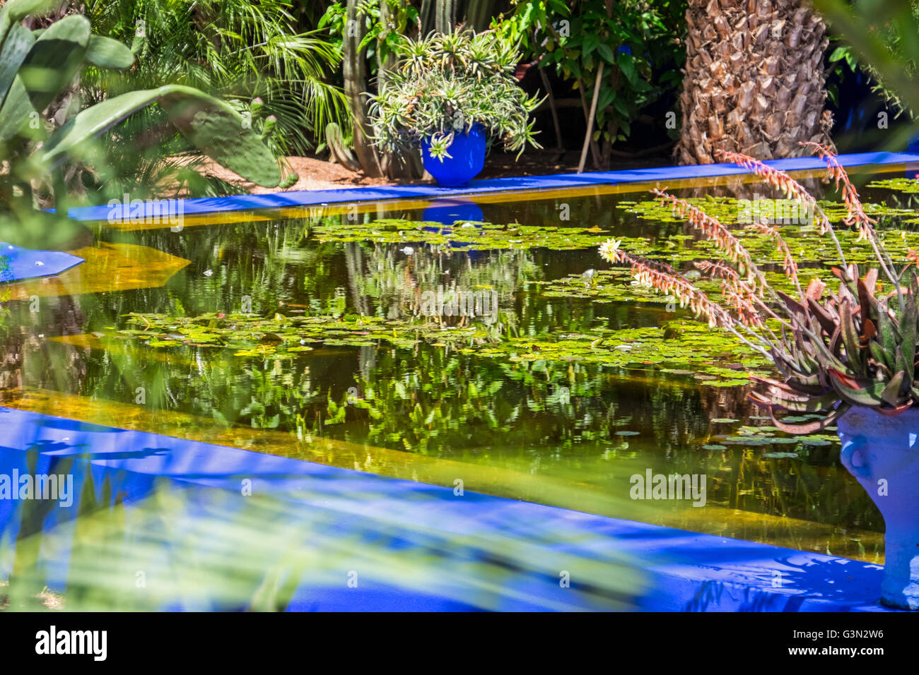 Pflanzen und Wasser in den Gärten von Majorelle in Marrakesch/Marokko MArakesh, Stockfoto