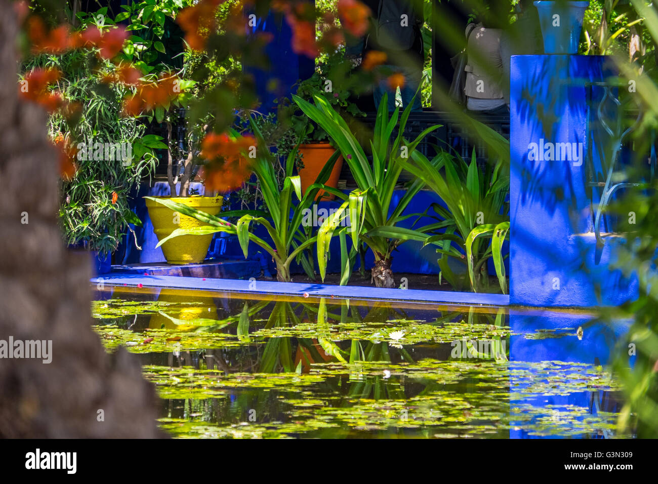 Pflanzen und Wasser in den Gärten von Majorelle in Marrakesch/Marokko MArakesh, Stockfoto