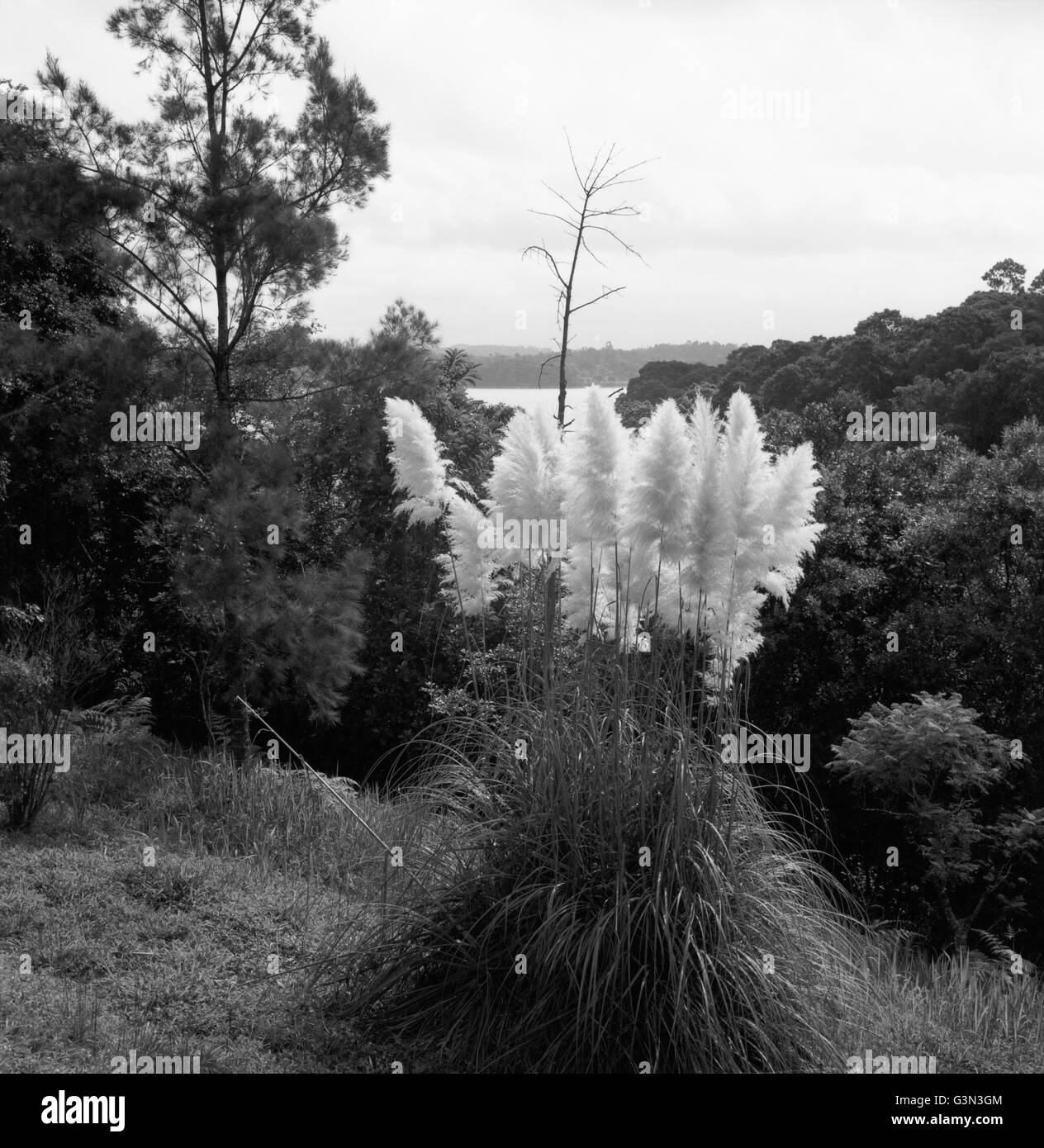 Imposante Truppenübungsplätze in Vila Velha, Brasilien 1966. Beeindruckende Naturlandschaften in Vila Velha, Brasilien 1966. Stockfoto