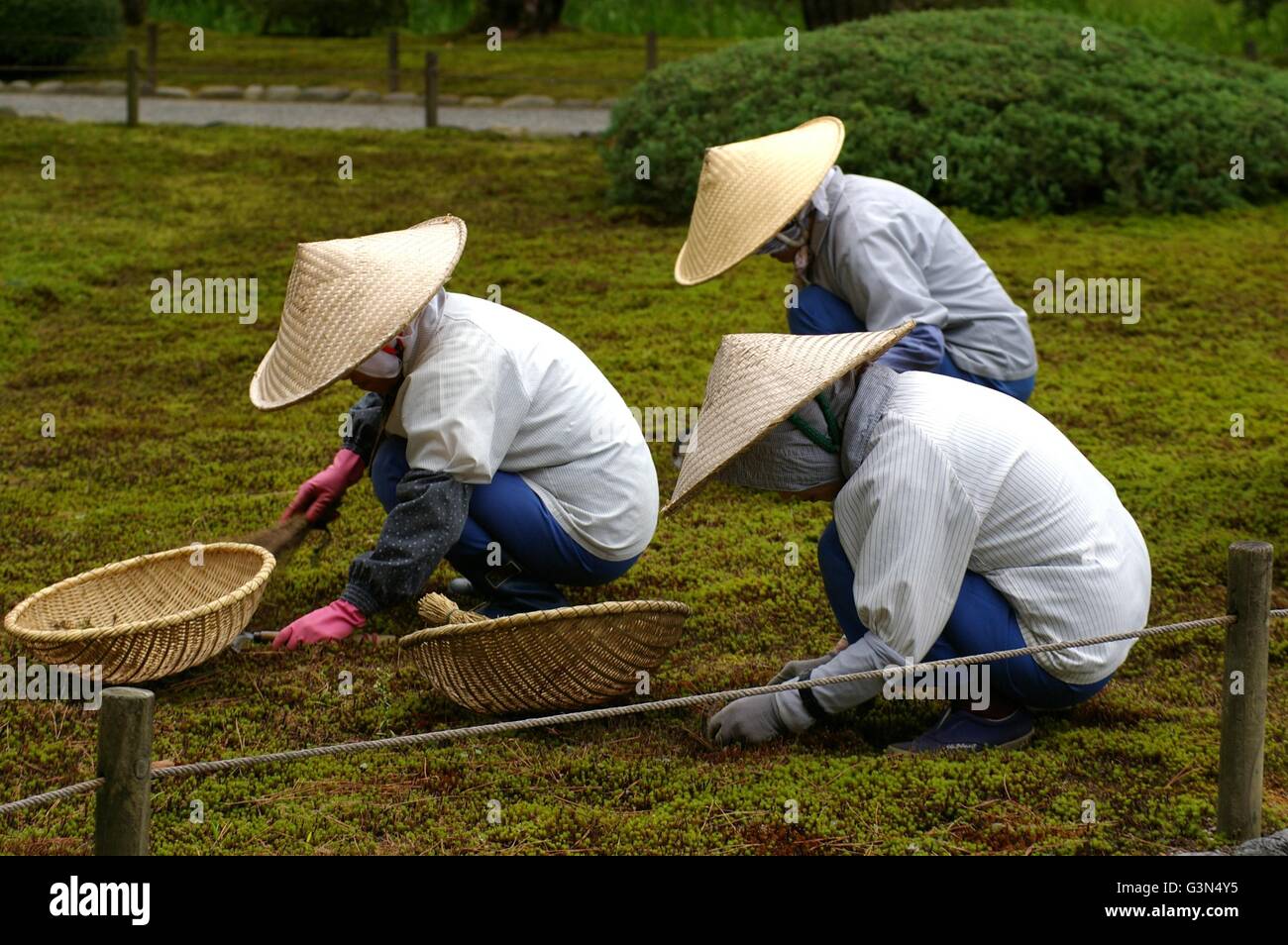 Kenroku-En Garten, Kanazawa, Japan Stockfoto