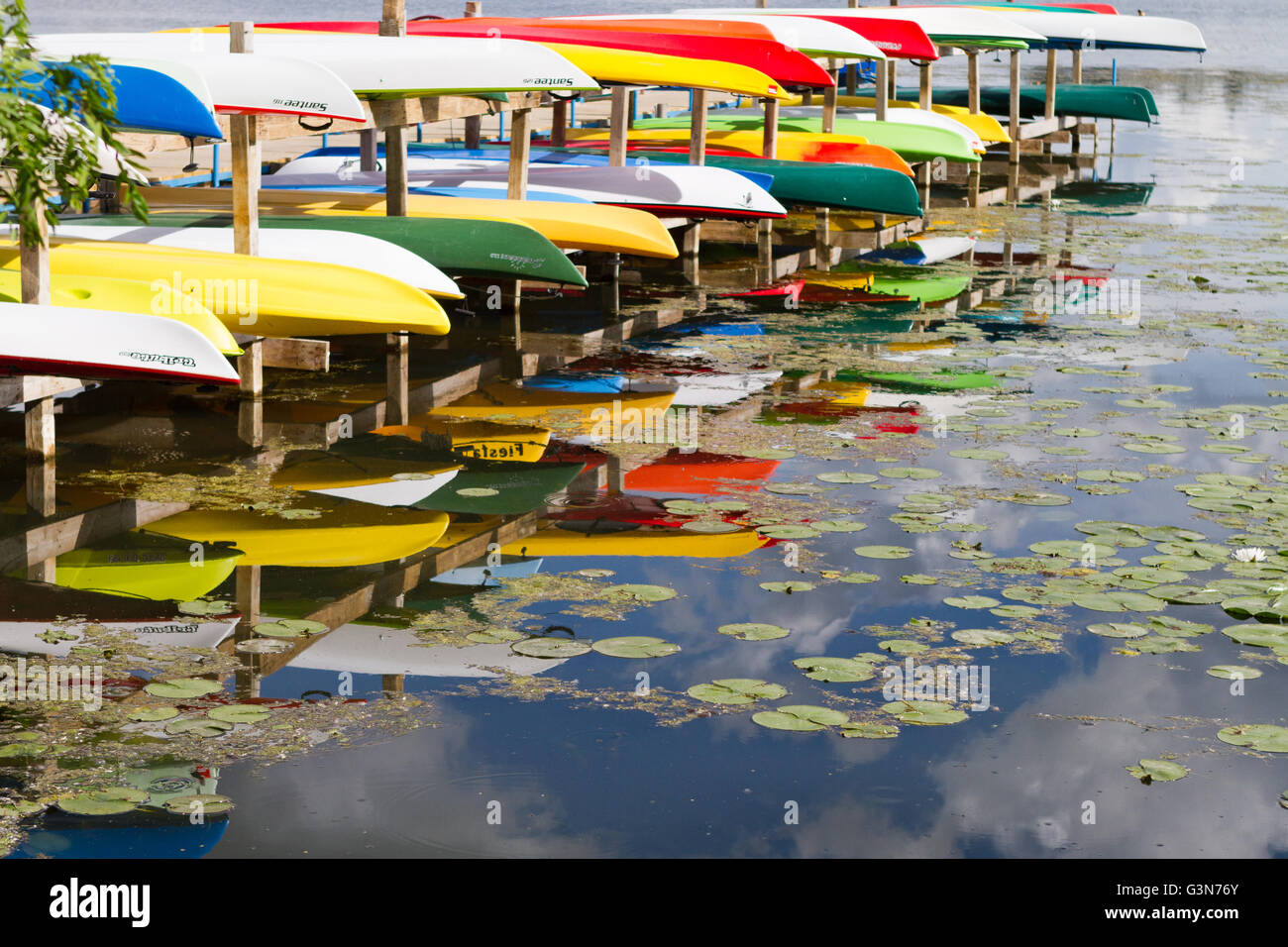 Reihe von bunten Boote am See mit Seerosen und Cloud Reflexionen verankert Stockfoto