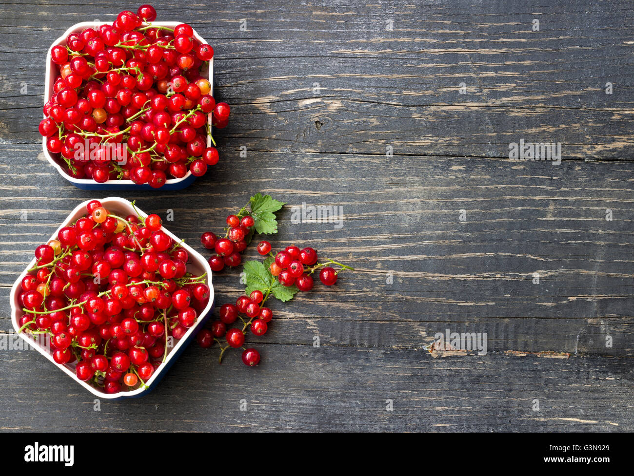 Johannisbeeren Stockfoto