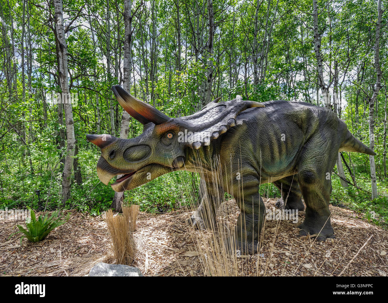 Mojoceratops Dinosaurier lebendig, Assiniboine Park Zoo, Winnipeg, Manitoba, Kanada. Stockfoto