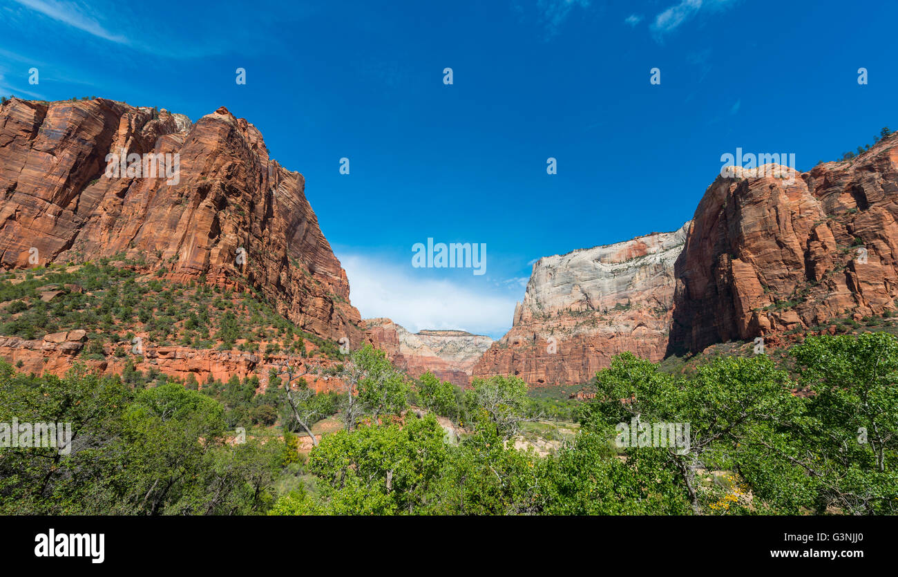 Landschaft mit Bergen, Zion Nationalpark, Utah, USA Stockfoto