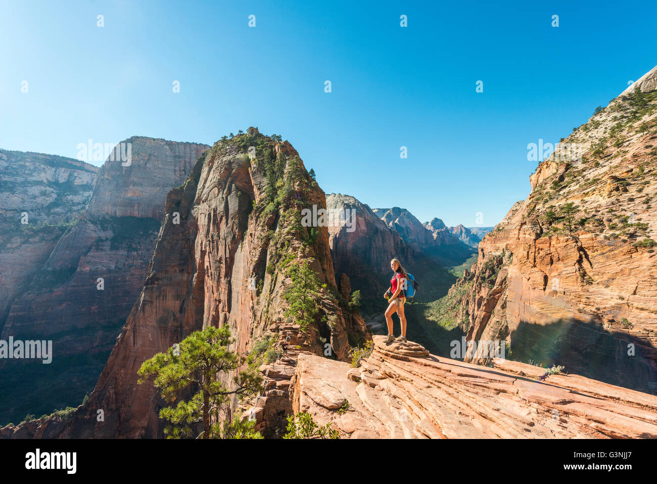 Wanderer am Aussichtspunkt, Angels Landing, Zion Canyon, Zion Nationalpark, Utah, USA Stockfoto
