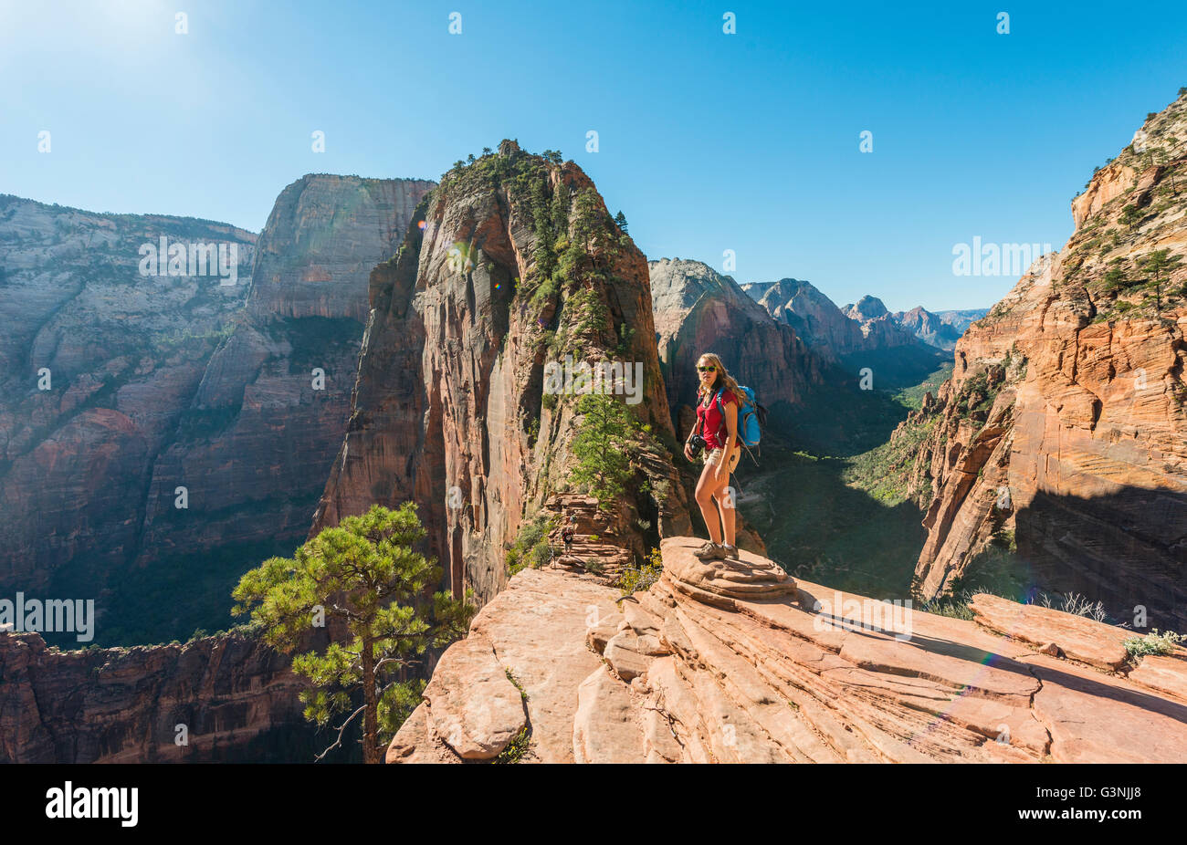 Wanderer am Aussichtspunkt, Angels Landing, Zion Canyon, Zion Nationalpark, Utah, USA Stockfoto