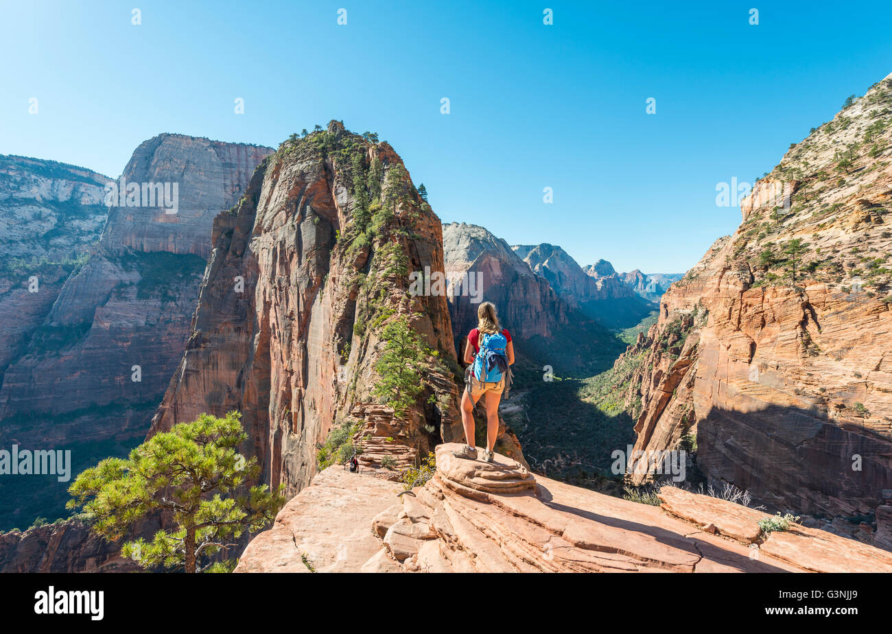 Wanderer am Aussichtspunkt, Angels Landing, Zion Canyon, Zion Nationalpark, Utah, USA Stockfoto