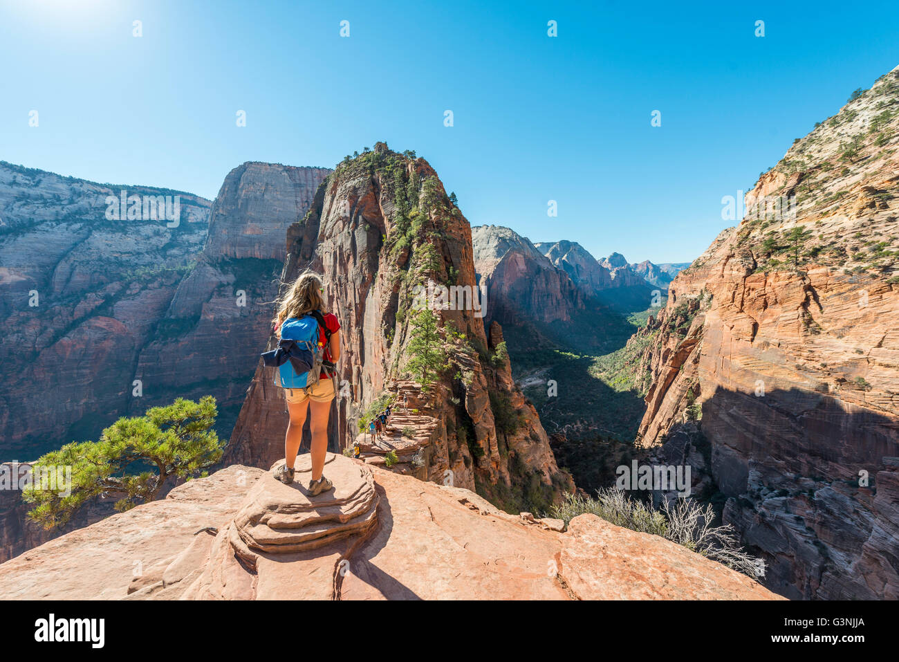 Wanderer am Aussichtspunkt, Angels Landing, Zion Canyon, Zion Nationalpark, Utah, USA Stockfoto