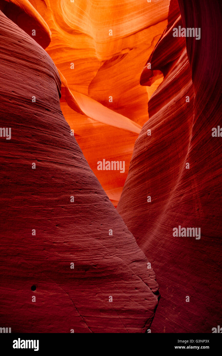Ungewöhnliche Sandstein Felsformationen in den Lower Antelope Canyon, Page, Arizona, USA Stockfoto